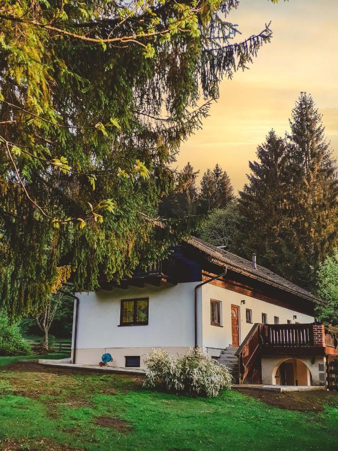 Ferienhaus Mooshuben Apartment Mariazell Ngoại thất bức ảnh